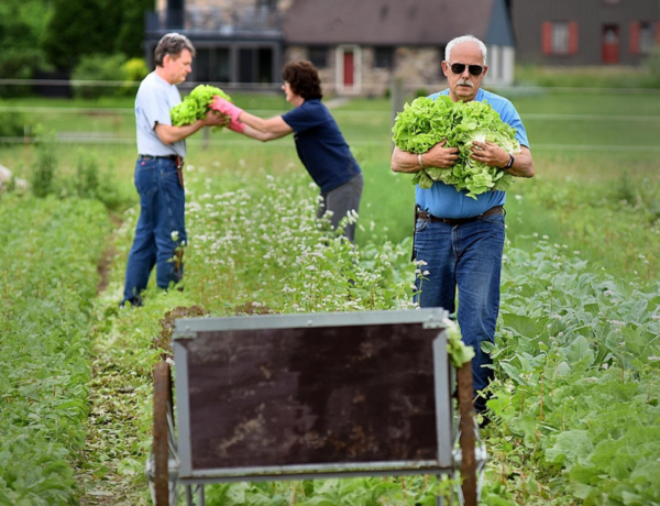 Rolling Harvest Food Rescue On Frontlines Of Feeding Hungry Rolling