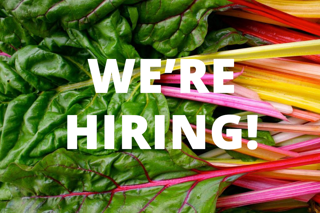 We're Hiring! - Farmer for Rolling Harvest Food Rescue Donation Fields at Gravity Hill Farm. Help us to grow a limited variety of produce on three acres of our existing fields at Gravity Hill Farm in Titusville, NJ to donate to area emergency feeding sites.