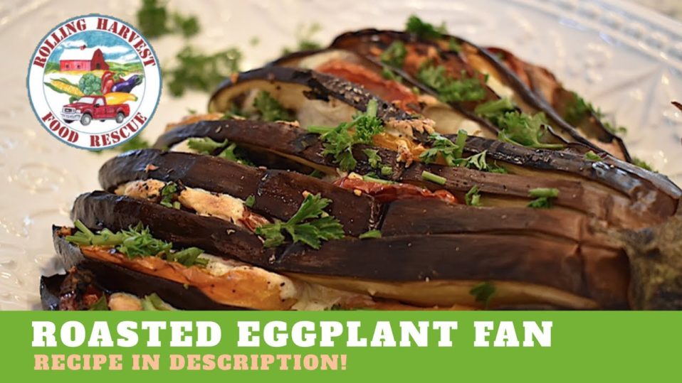 Eggplant Fan